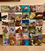 Wandplaat kinderkamer, Ophalen of Verzenden, Zo goed als nieuw, Wanddecoratie