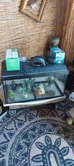 Juwel Koralux 60 aquarium (60x30x30cm) inclusief kap met ver, Ophalen, Gebruikt, Leeg aquarium