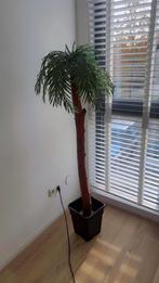 Kunst palmboom / kunstboom, Ophalen of Verzenden, Zo goed als nieuw