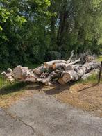 Boomstammen, 6 m³ of meer, Ophalen, Overige houtsoorten, Stammen