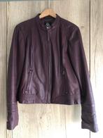 La Ligna leren jasje bordeaux maat 44 - Nieuwstaat!, Maat 42/44 (L), Ophalen of Verzenden, Zo goed als nieuw, Jasje