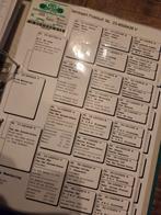 Postduif duivin, Dieren en Toebehoren, Vogels | Duiven, Vrouwelijk, Postduif