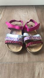 Develab sandalen maat 23, roze en zilver, Overige typen, Meisje, Ophalen of Verzenden, Zo goed als nieuw