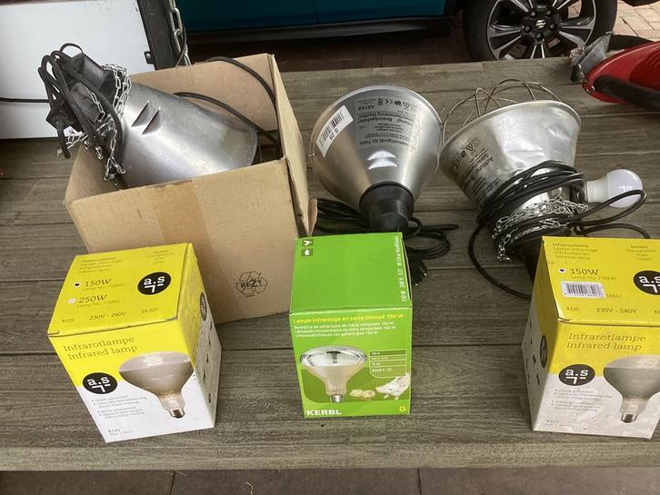 Warmtelampen, Dieren en Toebehoren, Pluimvee, Kip