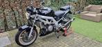 Suzuki SV1000 Naked, Motoren, Motoren | Suzuki, 2 cilinders, 996 cc, Bedrijf, Meer dan 35 kW