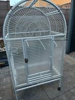 Papagai Kooi, Ophalen of Verzenden, Zo goed als nieuw, Metaal, Vogelkooi