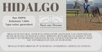 Leasepaarden beschikbaar omgeving Oss, Dieren en Toebehoren, Paarden, Meerdere dieren, 160 tot 165 cm, Recreatiepaard