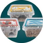 GEZOCHT: levend voer voor reptielen, Ophalen, Nieuw, Overige typen