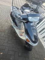 Honda Bali 50 - Geel Kenteken - Opknapper Scooter, Ophalen