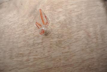 Poppenhuis Vaasje  Glas/ nr 27 beschikbaar voor biedingen