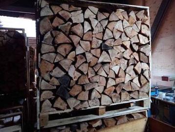 Buitengedroogd berkenhout beschikbaar voor biedingen