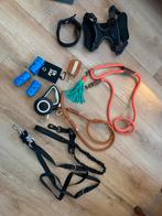 Honden spullen, riemen, tas, mand, speelgoed, Dieren en Toebehoren, Ophalen of Verzenden, Zo goed als nieuw