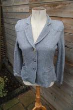 jasje blauwgrijs La Gauchita mt 38 Vaste prijs AANBIEDING, Kleding | Dames, Maat 38/40 (M), Blauw, La Gauchita, Ophalen of Verzenden