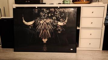 Poster Schotse Hooglander beschikbaar voor biedingen