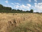 Kleine pakjes hooi, Dieren en Toebehoren, Ophalen, Vee