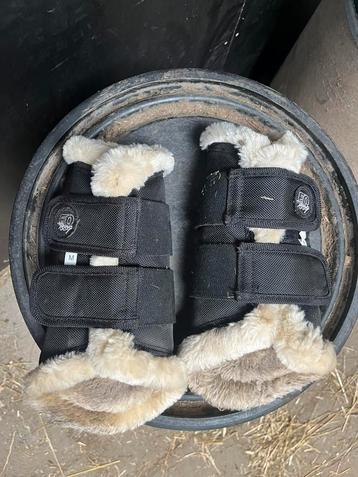 Verschillende paarden producten te koop beschikbaar voor biedingen