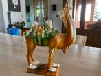 Prachtige Kameel, heel mooi Pronkstuk !!, Ophalen of Verzenden