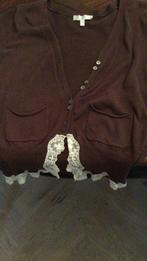 Mooi bruin kort vestje van Kookai, Ophalen of Verzenden, Zo goed als nieuw