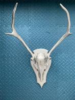 Aluminium bespoten hert gewei, Gebruikt, Ophalen of Verzenden, Zilver, Overige materialen