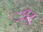 2 halsters maat shet, Dieren en Toebehoren, Paarden en Pony's | Overige Paardenspullen, Ophalen, Zo goed als nieuw