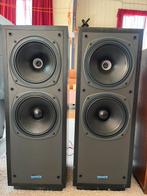 Tannoy DC2000 Speakers Luidsprekers Engels, Ophalen, Zo goed als nieuw, Front, Rear of Stereo speakers, Overige merken