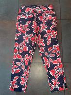 Parami dames broek maat 36, Ophalen, Parami, Blauw, Zo goed als nieuw