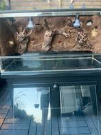 Terrarium 100x40x50 met achterwand en onderkast, Dieren en Toebehoren, Reptielen en Amfibieën | Toebehoren, Ophalen of Verzenden