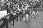 943011 Haarlem 1905 NH Hertenkamp Dierenpark Gelopen met, Ophalen of Verzenden, Voor 1920, Gelopen, Noord-Holland