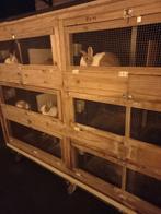 Konijnen flat zonder konijnen 275  opwielen, 110 cm of meer, Ophalen of Verzenden, Zo goed als nieuw, 90 cm of meer