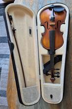 Prachtige elektrische 4/4 altviool compleet met toebehoren., Altviool, Overige formaten, Elektrisch, Ophalen of Verzenden