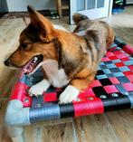 Hondenmand  ✅ hondenstretcher hondenkussen bench dog bull, Ophalen of Verzenden, Nieuw
