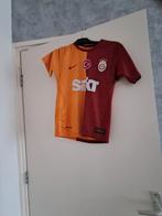 Nieuw Galatasaray shirt, Overige kleuren, Nike, Nieuw, Overige maten