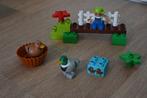 Duplo boseendjes, dino's, getallentrein 10581 5596 10847, Ophalen of Verzenden, Gebruikt, Complete set, Duplo
