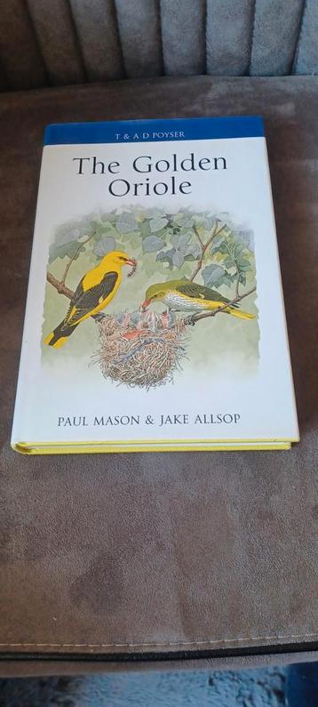 The Golden Oriole Paul mason  beschikbaar voor biedingen