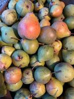 GRATIS - verse stoofperen, Ophalen