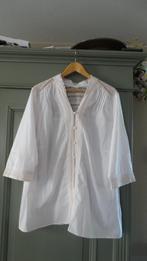 Zachtroze blouse, maat 52 met kanten details/stoffen knoopje, Verzenden, Maat 46/48 (XL) of groter, Zo goed als nieuw, Roze