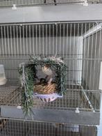 mayor putter, Ophalen, Zo goed als nieuw, Aluminium, Vogelkooi