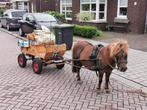 Mini pony wagentje, Dieren en Toebehoren, Ophalen of Verzenden, Zo goed als nieuw
