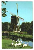 34739	Haarlem	molen	Wip watermolen	 Nette oude kaart Onbesch