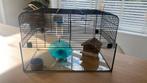 Hamsterkooi glas en metaal zwart, Dieren en Toebehoren, Kooi, Minder dan 75 cm, Minder dan 60 cm, Hamster