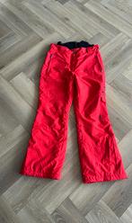 Canyon rode dames skibroek maat XL, Broek, Maat 46/48 (XL) of groter, Ophalen of Verzenden, Canyon
