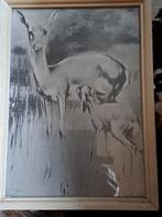 Hertje van vermeegen, Antiek en Kunst, Kunst | Tekeningen en Foto's, Ophalen of Verzenden