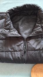 Dames bodywarmer maat s, Kleding | Dames, Bodywarmers, Ophalen, Zo goed als nieuw