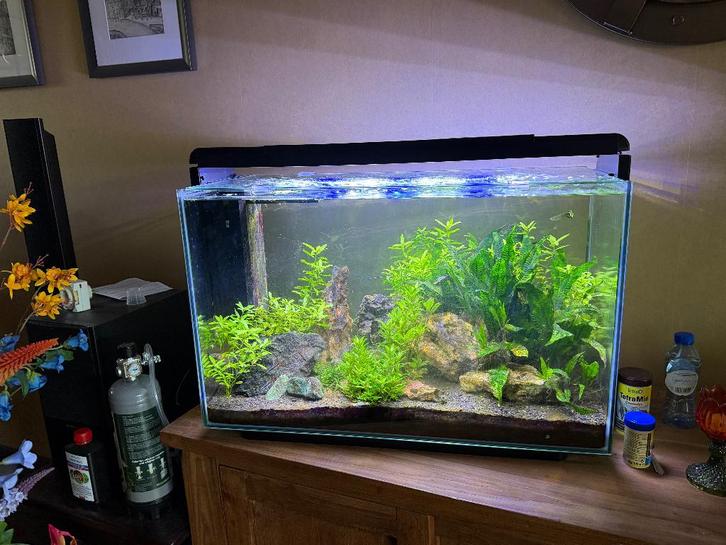 Aquarium, Dieren en Toebehoren, Vissen | Aquaria en Toebehoren, Gebruikt, Leeg aquarium, Ophalen