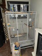 Grote papegaaien kooi op wielen, Ophalen, Gebruikt, ., Vogelkooi