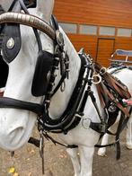 Gareel tuig Pony/Cob, Dieren en Toebehoren, Ophalen of Verzenden, Gebruikt, Overige soorten