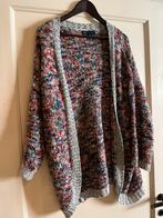 Gekleurd vest, Maat 42/44 (L), Ophalen of Verzenden, Zo goed als nieuw, Overige kleuren