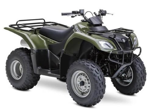 Suzuki Ozark 250 Landbouw-boerderij vd wal sneek Groen-Rood, Motoren, Quads en Trikes, 1 cilinder, Ophalen