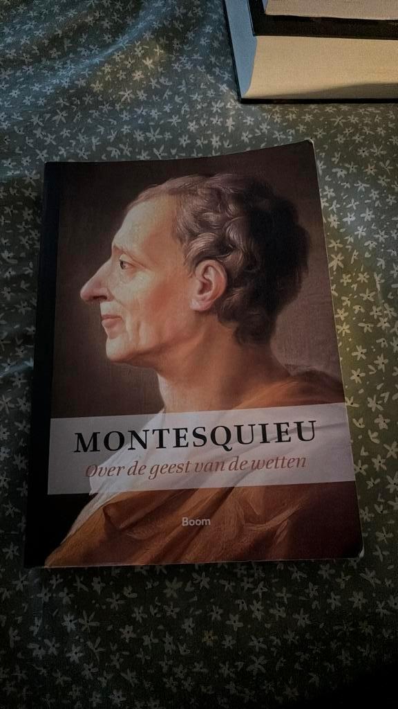 Montesquieu - Over de geest van de wetten, Boeken, Filosofie, Zo goed als nieuw, Ophalen of Verzenden