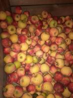 Paardenvoer, Diversen, Ophalen of Verzenden